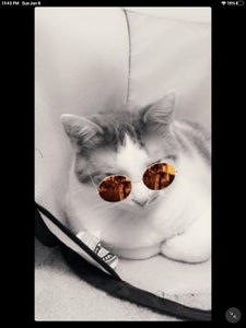 Meet your Posher, Laiba